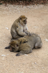 Similar image 22046019