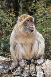 Similar image 22046020