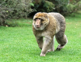 Similar image 22046021