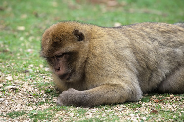 Similar image 22046022