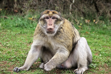 Similar image 22046025