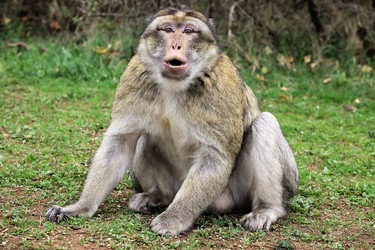 Similar image 22046026