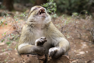 Similar image 22046028