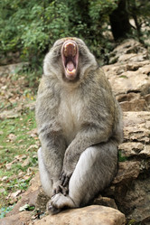 Similar image 22046029