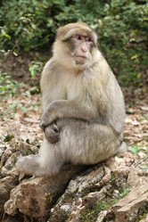 Similar image 22046030