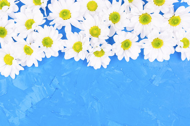 Similar image 22043650