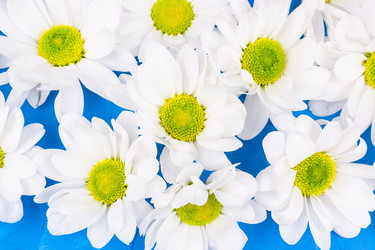 Similar image 22043653