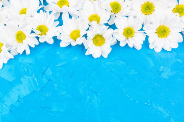 Similar image 22043655