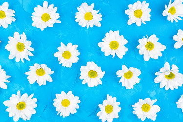 Similar image 22043669