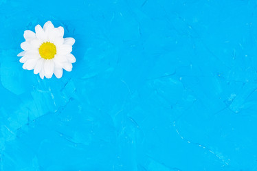 Similar image 22043988