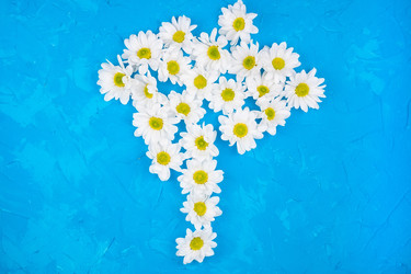 Similar image 22044000