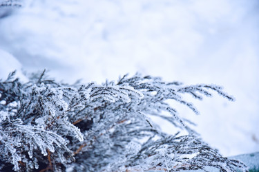 Similar image 22042494