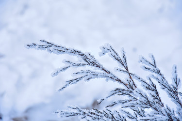 Similar image 22042495