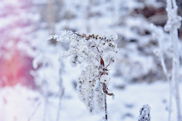 Similar image 22042496