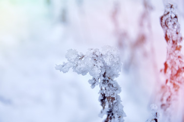 Similar image 22042497