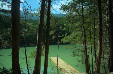 Similar image 22050008