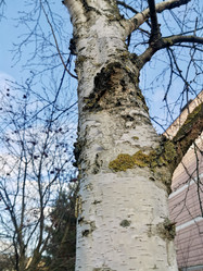 Similar image 22042515