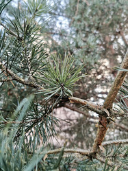 Similar image 22042517