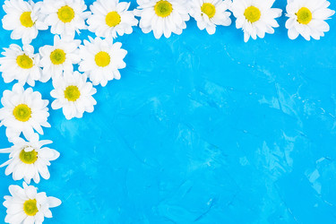 Similar image 22044008