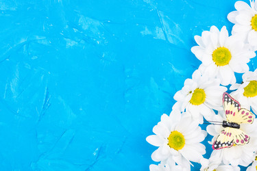 Similar image 22044012