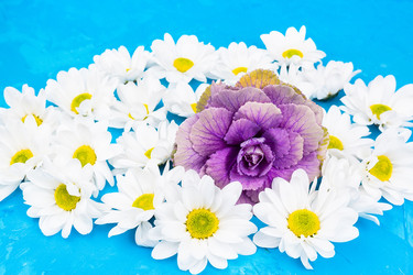 Similar image 22044017