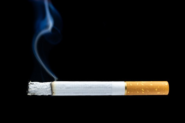 Similar image 22044099