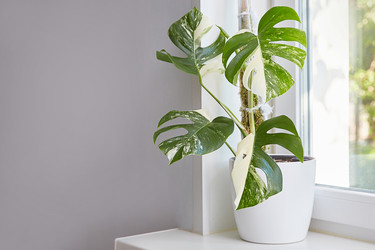 Similar image 22044991