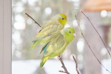 Similar image 22044993