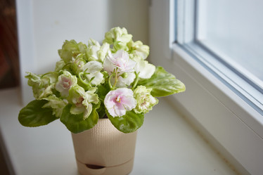 Similar image 22045216