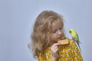 Similar image 22045217