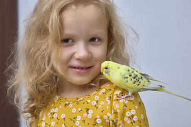 Similar image 22045218