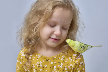 Similar image 22045220