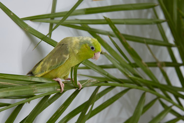 Similar image 22045228