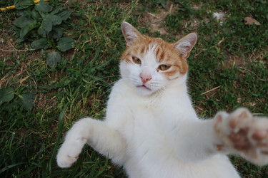 Similar image 22044802