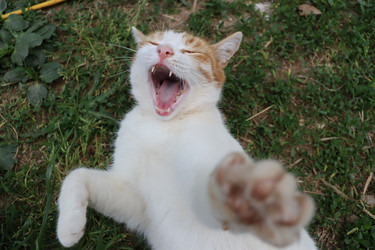 Similar image 22044803