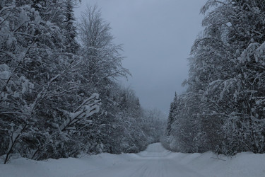 Similar image 22044804