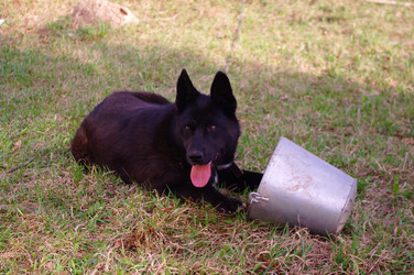 Similar image 22044808