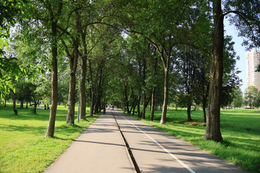 Similar image 22050366