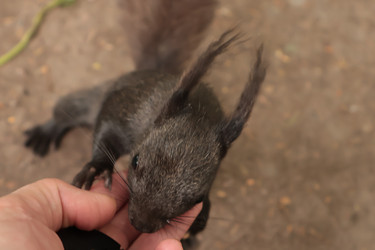 Similar image 22050368