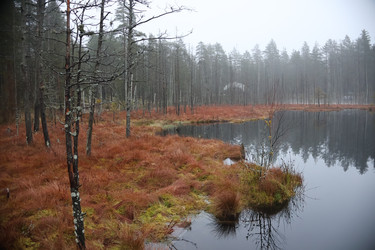 Similar image 22050369