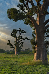 Similar image 22046565