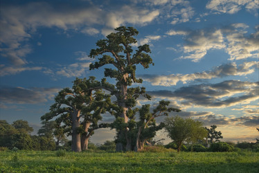 Similar image 22046566