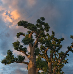 Similar image 22046567