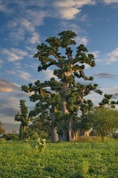 Similar image 22046568