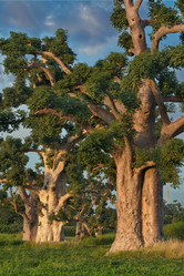 Similar image 22046571