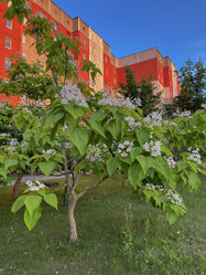 Similar image 22046853