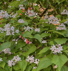 Similar image 22046854