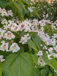 Similar image 22046856