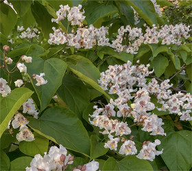 Similar image 22046857