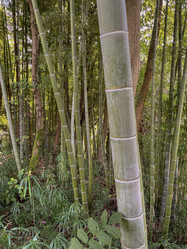 Similar image 22046858